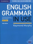 English Grammar in Use with Answers 5th Edition 