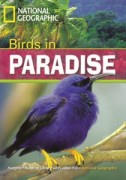 Birds In Paradise